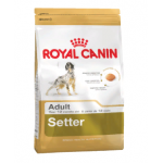 Royal Canin Setter Adult-Корм для Сеттеров старше 12 месяцев